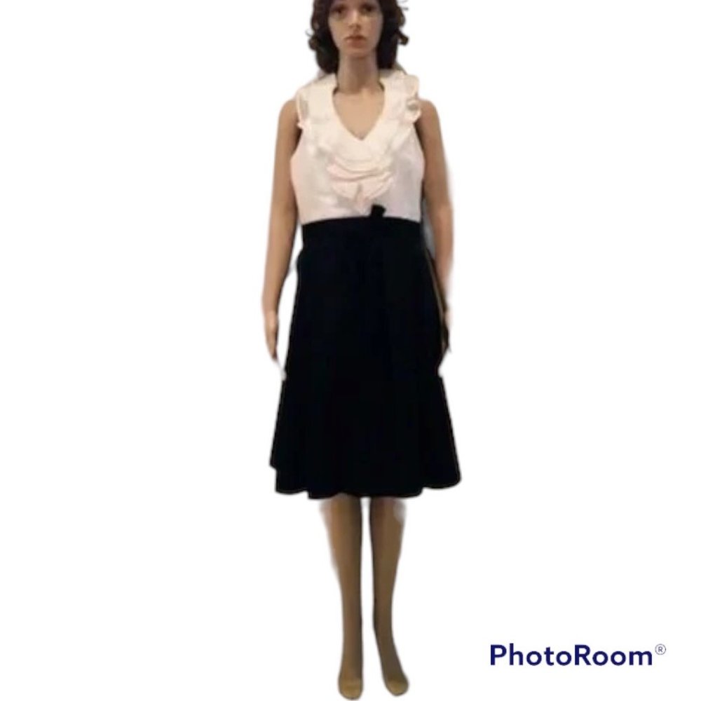NWT White House Black Market Cocktail Dress W/Sheer Champagne Ruffles Size 8